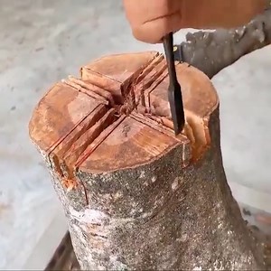 1.2M views · 11K reactions | Make use of de ad wood, the most unique creative idea | Rumah Kebun Organik | Facebook