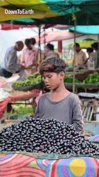 Why is #indianfood #safety #policy driven by #export and foreign #consumers ?