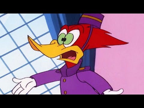Pica-Pau | Pica-Pau consegue um emprego + Outros Episódios Completos