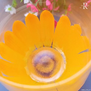 Painting on Glass for an Incredible Effect | Colors N Shades-The magical Rendering