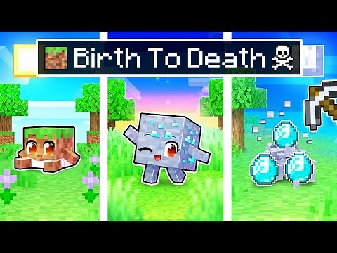 BIRTH To DEATH of a Minecraft BLOCK!