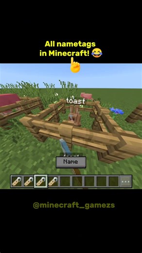 Minecraft Meme 😂 Secret Nametags You Forgot About!
