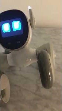 How to use ChatGPT with Loona PetBot Robot