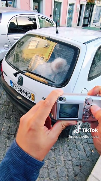 Mejora tus Fotos con la Cámara Canon A430