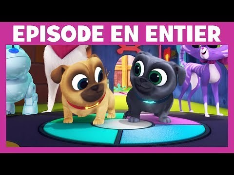 Joue avec Bingo & Rolly - La danse des chiens