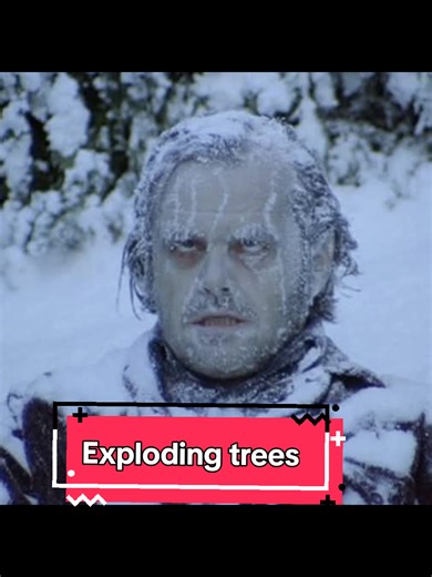 Extreme Cold Alert: Possible Exploding Trees in Midwest