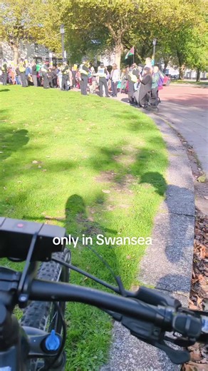 shit going down #fyp #swansea #protest