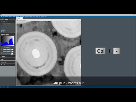 Adjust Image Zoom in DigitalMicrograph