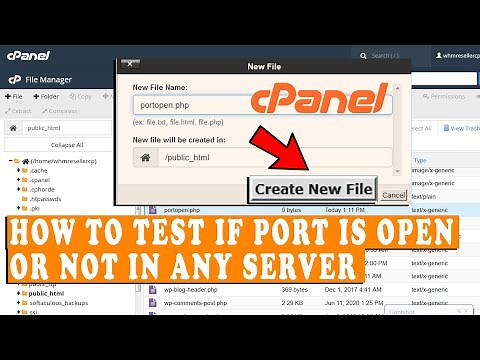 How to test if a port is open or not on any server?