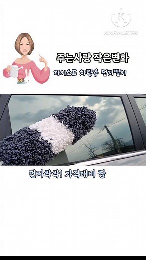 다이소 추천템! 극세사 차량용 먼지털이개 #차량용품 #shots