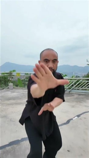lv 0 20250505222535Southern Shaolin One-Finger罗汉拳 (Yīzhǐ Luóhàn Quán)