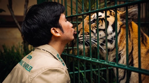Inside this Indonesian mansion, a YouTube star lives with four tigers