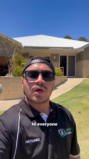 Don’t wait for pests to become a problem—get your property booked in for a general pest spray! Limited spots available, so lock in your appointment today. ✅ Affordable Pest Control ✅ Fully licensed & local team ✅ Fast, friendly service across Perth 📞 Call now for a FREE quote: 0468 360 826 🌐 mkpestcontrol.com.au “No Pest Too Tough. No Home Too Big.” #termitetreatment #mkpestcontrol #pestcontrolperth #spidercontrol #pestfreehome #wahomes #protectyourhome #termitecontrol #perthpestcontrol | MK P