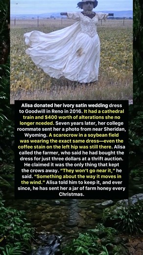 The Scarecrow Wearing Her Wedding Dress