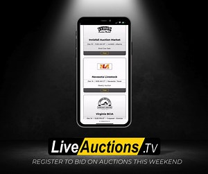 1.2K views |  Big Weekend Alert!  We're broadcasting 10 auctions LIVE this weekend on www.LiveAuctions.tv!  Featuring bull and female sales from coast to coast, this is your chance to bid on the best genetics in the industry—right from the comfort of your home. | LiveAuctions.TV | Facebook