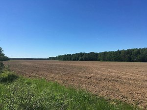 Land plot of 461 hectares in Moscow region for lease