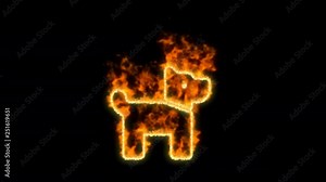 dog symbol inflames. Then disappears. In - Out loop. Alpha channel Premultiplied - Matted with color black