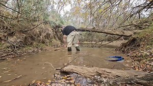 5K views · 290 reactions | Can you use a bin lid to find gold? Yes. Did I steal the lid from a council bin.... perhaps. Should you try it? I'm not allowed to give legal advice. | Chris Bogusis | Facebook
