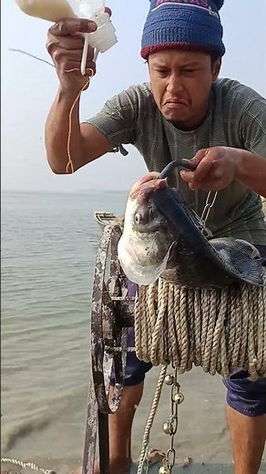 Secret Carp Bait That Big Fish Can’t Resist
