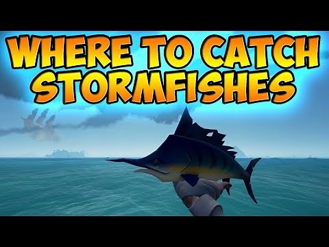 Where To Catch Stormfishes Guide | Anniversary Update | Sea of Thieves
