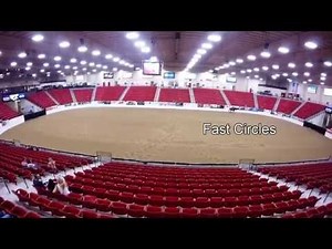 All About Reining: A beginners guide to western reining competition movements