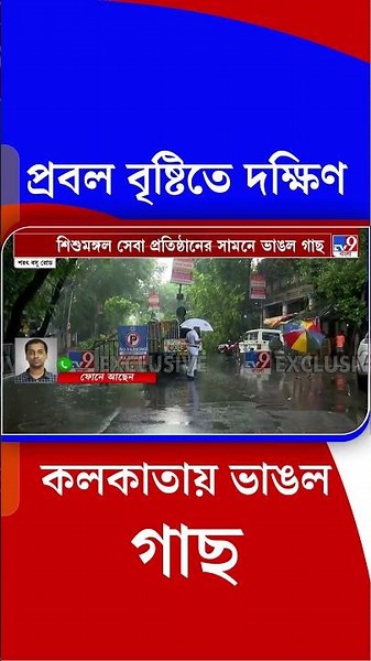 প্রবল বৃষ্টিতে দক্ষিণ কলকাতায় ভাঙল গাছ | #Shorts