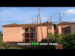 Shell's Dutch Origin & Global Influence: Did You Know? #shorts