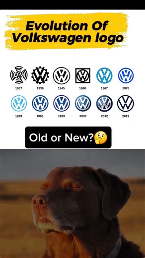 Old vs New Volkswagen logo 👀Which one are you choosing? 🤔👇 #cars #Volkswagen