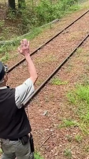 2.1K views · 24 reactions | Astonishing sight of our GE 80-ton locomotive, #671 arriving at the end of the 4 miles of track as it turns around to take passengers back to Bonsal. A great opportunity for passengers to see the locomotive as it drives by them.⁠ #Locomotive #History #NewHopeValleyRailway #TheTriangleTrain | Triangle's Train: New Hope Valley Railway | Facebook