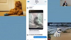 The State of Evidence for PE Intervention