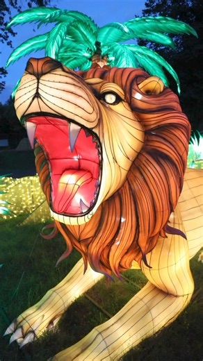 3.4K views · 910 reactions | Check out Zoomagination at the Buffalo Zoo all summer long! | The Buffalo Zoo | Facebook