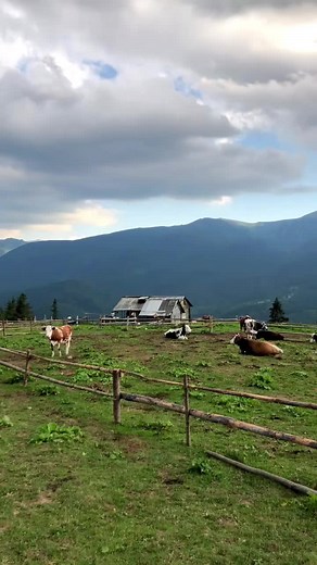 Exploring the Enchantment of the Ukrainian Carpathians