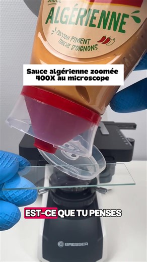 Sauce algérienne au microscope ! Les lames et lamelles que j’utilise dans ma bio ! #microscope #france #sauce