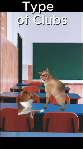 Cat clubs memes #cat #memes #shorts
