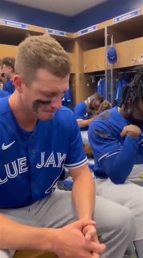 Blue jays crying | Vlad Balashov