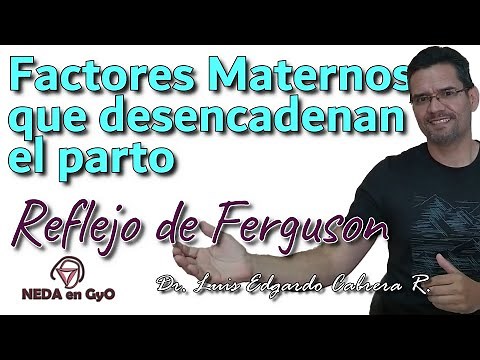 MATERNAL factors that initiate LABOR. FERGUSON reflex (there are 2). SIMPLE explanation!