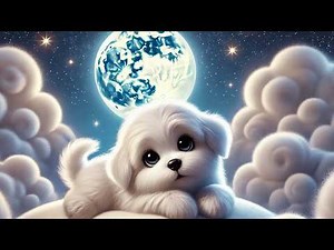 1 Hour of Relaxing Lo-fi Beats for Deep Sleep | Calming Music for Sleep Aid & Stress Relief