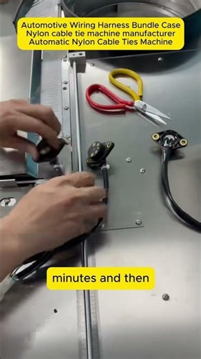 Automotive Wiring Harness Bundle Case Nylon cable tie machine manufacturer