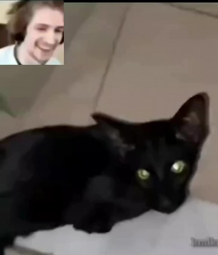 ……#海外編集 #心霊動画 #運営さんだいすき #ホラー