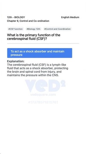 Understanding CSF Function in Biology 12th Control and Coordination