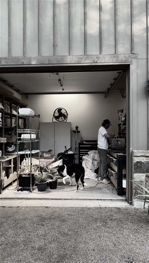 Starting Asparagus Seeds: Soil Blocking Method Explained