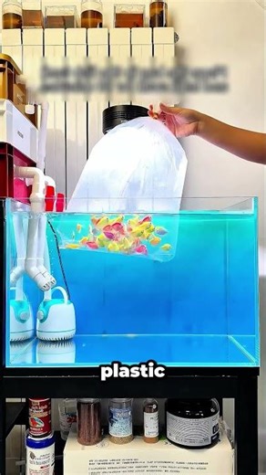 This Fish Tank Hack Saves Lives 🐠 #aquarium #fishkeeping #shorts