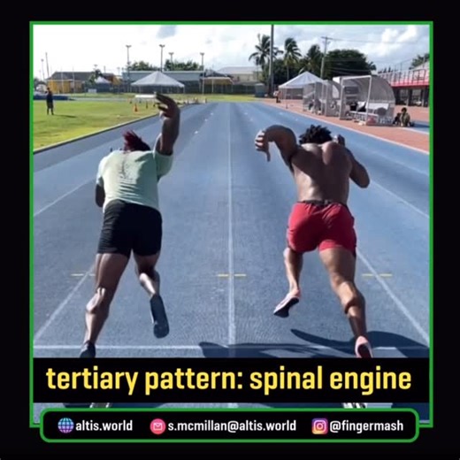 Stuart McMillan on Instagram: "Spinal Engine? Gracovetsky’s Spinal Engine Theory is about more than simply training the spine to flex, extend, rotate, and laterally bend. His core idea was that the spine generates and transmits energy for locomotion, with the limbs serving more as transmitters of that energy than as the primary drivers. That said, I don’t see a contradiction in also emphasizing the effective movement of the spine when applying his thinking to practice. If the spine is the engine