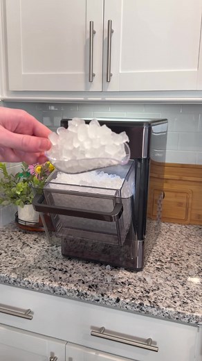 GE Opal Pro vs. Cowesar: $60 vs. $500 Ice Maker Review