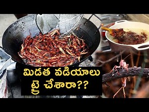 Desert Locust can be eaten for food || How To Cook Locusts || Locust Recipe