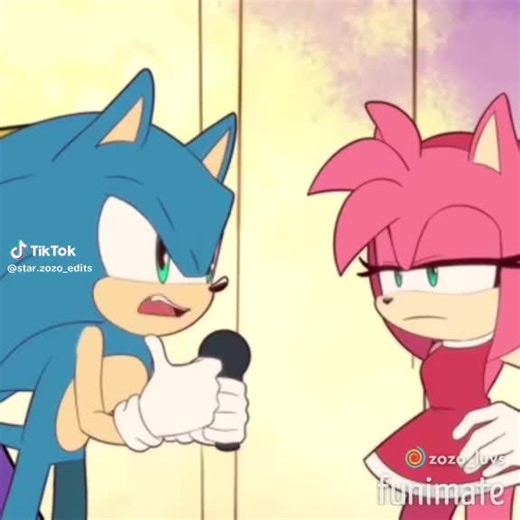 @sonic the hedgehog x amy rose