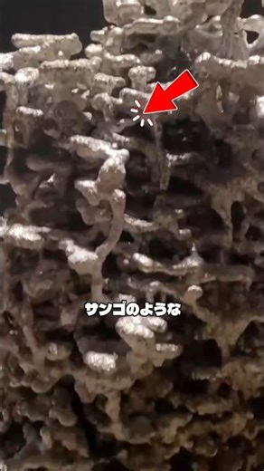 サンゴのように見えるこの金属構造は、どのように作られたのでしょうか。