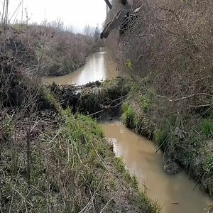 23K views · 99 reactions | Digging ditches with excavators | Magic | Facebook