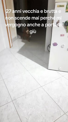 Simone e Pablito su TikTok