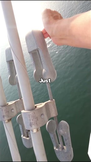 How a Simple Device Stopped Power Lines From Breaking